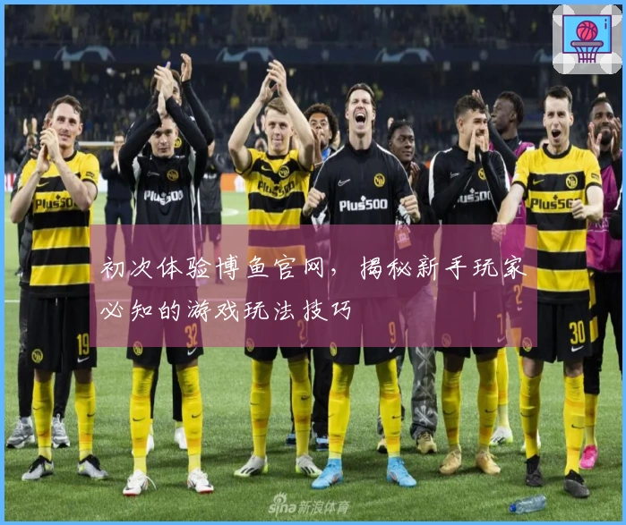 初次体验博鱼官网，揭秘新手玩家必知的游戏玩法技巧