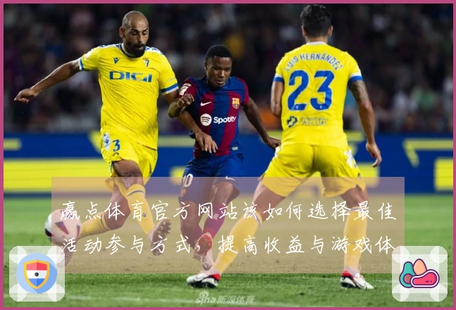 赢点体育官方网站该如何选择最佳活动参与方式，提高收益与游戏体验？